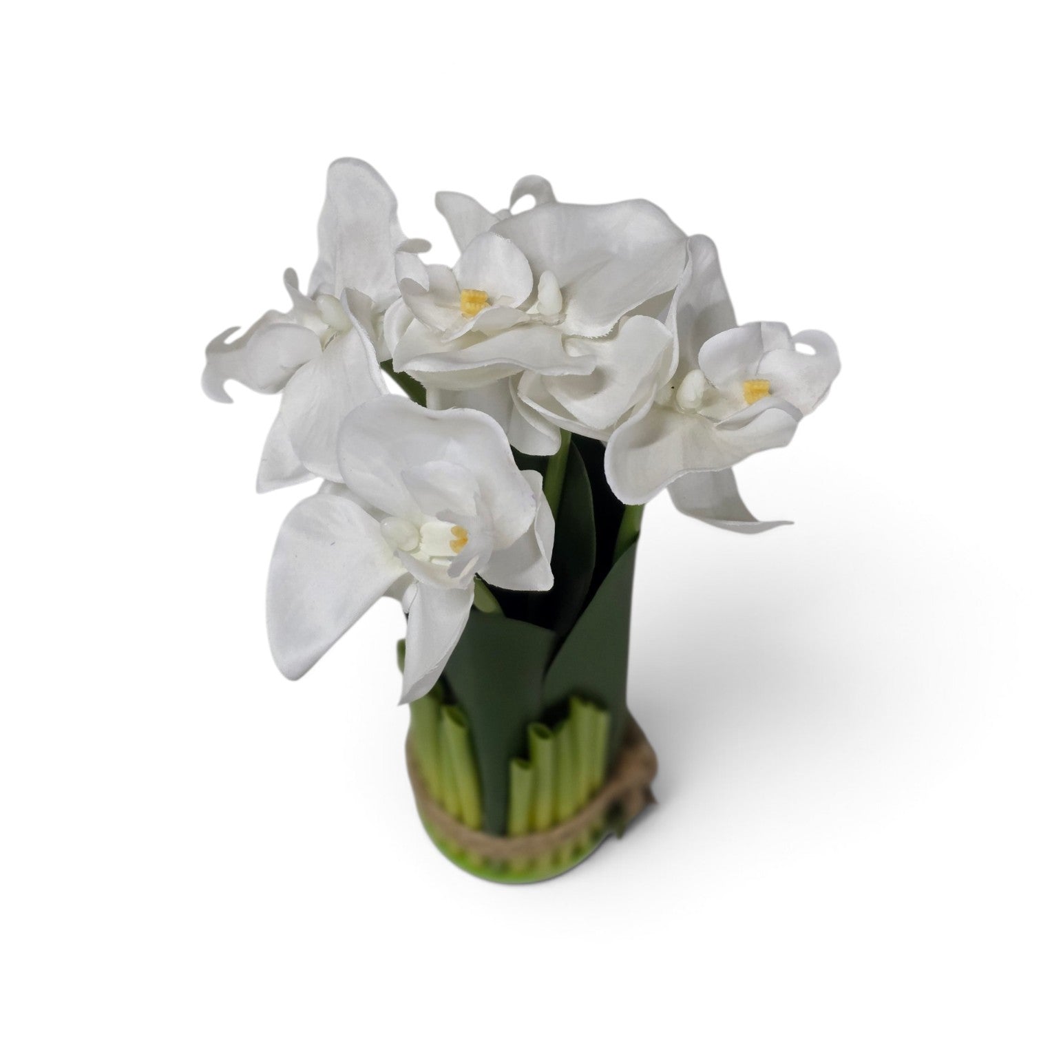Bunched orchids